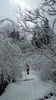 photo thumbnail #10
