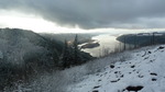 photo thumbnail #11
