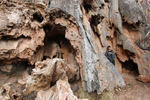 photo thumbnail #5