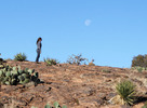 photo thumbnail #1