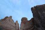 photo thumbnail #1