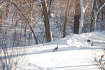 photo thumbnail #2