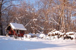 photo thumbnail #3