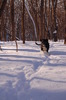 photo thumbnail #4
