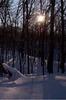 photo thumbnail #15