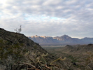 photo thumbnail #4