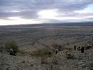 photo thumbnail #5