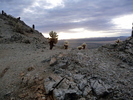photo thumbnail #6