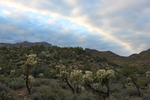 photo thumbnail #1