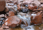 photo thumbnail #13