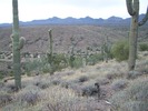 photo thumbnail #4