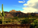 photo thumbnail #15