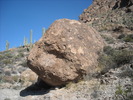 photo thumbnail #8