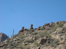 photo thumbnail #10