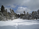 photo thumbnail #3