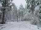 photo thumbnail #1