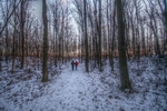 photo thumbnail #12
