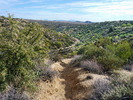 photo thumbnail #4