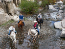 photo thumbnail #13