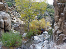 photo thumbnail #14