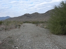 photo thumbnail #2