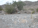 photo thumbnail #4