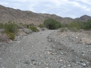 photo thumbnail #5