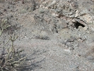 recent photo