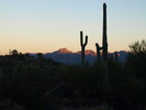 photo thumbnail #1