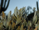 photo thumbnail #2