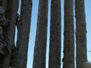 photo thumbnail #7