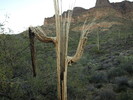 photo thumbnail #10