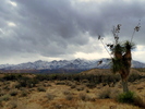 photo thumbnail #1