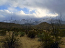 photo thumbnail #4