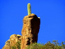photo thumbnail #10