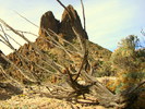 photo thumbnail #11