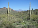photo thumbnail #13