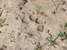 photo thumbnail #14