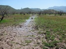 photo thumbnail #15