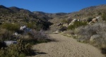 photo thumbnail #1