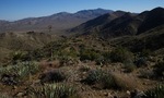 photo thumbnail #3