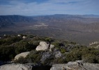 photo thumbnail #7
