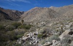 photo thumbnail #3