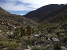 photo thumbnail #8