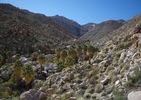 photo thumbnail #13