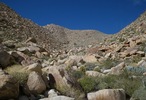 photo thumbnail #15