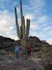 photo thumbnail #6
