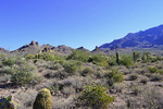 photo thumbnail #5