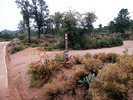 photo thumbnail #1