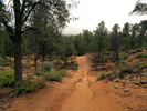 photo thumbnail #4
